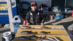 串本・萩尾の磯　大イナヤ、小イナヤにて良型グレの釣果