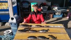 大平瀬、灘のコーデでのオキアミフカセ釣果