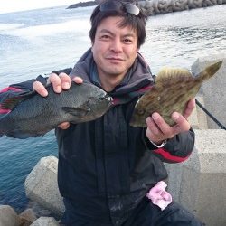 萩尾　カゴ釣りでグレ・カワハギ　ヤエンでアオリイカの釣果