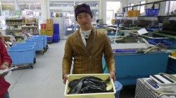 市江にてフカセ釣り　グレ7枚