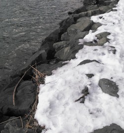 津居山　フカセ釣りで良型チヌ連発☆　ビギナ…