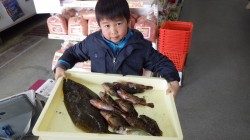 田辺文里（もり）にてサビキ・胴付でヒラメにヒイラギ