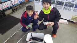 みなべ一本松の漁港湾内でのフカセ　グレ37cm