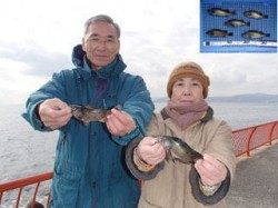 平磯海づり公園　シラサエビのウキ釣りでメバ…