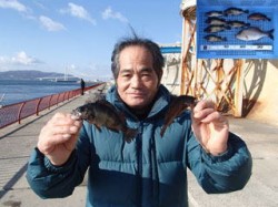 平磯海づり公園、ウキ釣りでメバル・ガシラ・…