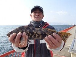 平磯海釣り公園　ウキ釣りでアイナメの釣果