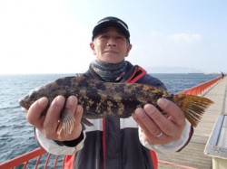 平磯海釣り公園　ウキ釣りでアイナメの釣果