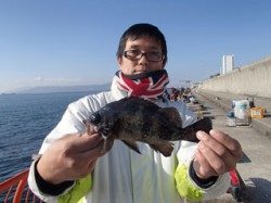 平磯でシラサをつかったウキ釣り　メバル24cm