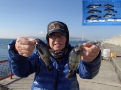 平磯海づり公園　ウキ釣りでメバル