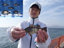 平磯海づり公園　ウキ釣りでメバル