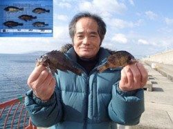 シラサでメバル釣り　平磯海づり公園