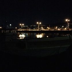 2015年初釣行は淡輪漁港でスタート　開始早々メバルがヒット！