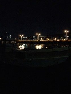 2015年初釣行は淡輪漁港でスタート　開始早々メバルがヒット！