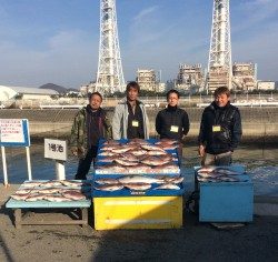 マリーナシティ海上釣堀　少人数貸切にてマダイ38尾とメジロ