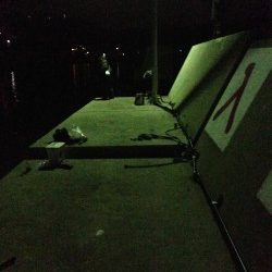 淡路島・丸山周辺にてメバリング　メバルのボイル発生〜楽しめました♫