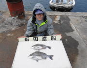 黒島の筏でのチヌ釣り　他カンダイも釣れました！