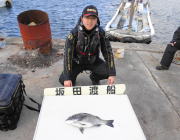 黒島の磯　オキアミ（ボイル）でチヌ46cm…