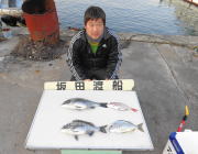 黒島の筏にてチヌ・へダイ・チャリコ