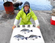 黒島の筏　のませでヒラメ、チヌは40UP3枚