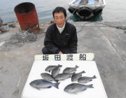 鷹島のカンドリにてグレの釣果