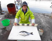 黒島の筏　ボケをエサにチヌ45cm