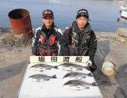 黒島の磯　年なしチヌ52cmなど良型が釣れ…
