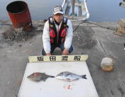 黒島の筏　ボケをエサにカワハギ28cm