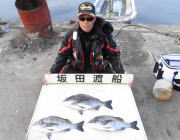 黒島の磯　年なしチヌ52cmなど良型が釣れてます