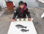 黒島の筏にてチヌとへダイの釣果
