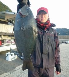 神谷の磯　フカセで良型グレの釣果あり