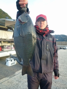 神谷の磯　フカセで良型グレの釣果あり