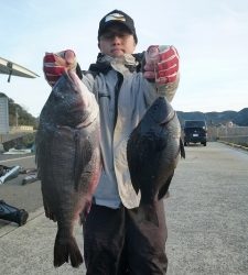 神谷の磯　フカセで良型グレの釣果あり