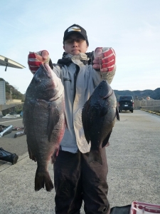 神谷の磯　フカセで良型グレの釣果あり