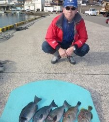 ヒラバエでのカゴ釣り釣果　グレ・ウマヅラ・カワハギ