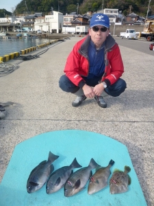 ヒラバエでのカゴ釣り釣果　グレ・ウマヅラ・…