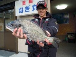 湯浅の磯・カルモ島 フカセ釣りで良型チヌ釣れました