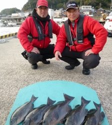 沖一文字内向きで45cmの良型グレの釣果