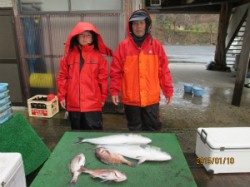 雨の海上釣堀　メジロ&マダイ