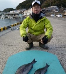 神谷一文字　カゴ釣りでグレ＆イシダイの釣果