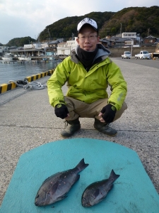 神谷一文字　カゴ釣りでグレ＆イシダイの釣果…