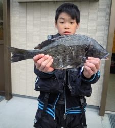 カルモ島でチヌ釣り　41cmを良型をお子様がキャッチ！