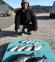 神谷沖一文字でカゴ釣り　グレにチャリコ