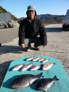 神谷沖一文字でカゴ釣り　グレにチャリコ