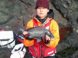 湯浅の磯・カルモ島　水温上昇しチヌ好調！