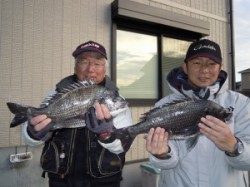 湯浅の磯・カルモ島 水温上昇しチヌ好調!