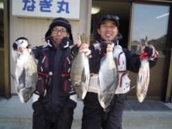 湯浅の磯・カルモ島で良型チヌの釣果