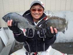 カルモ島など湯浅の磯でのチヌ・グレ釣果