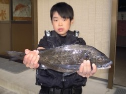 湯浅の磯　カルモ島にて小学生が良型チヌゲッ…