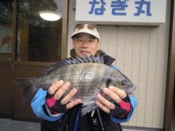 湯浅の磯・カルモ島でチヌ45.5cm