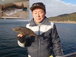 須磨海づり公園　ハゲカケ仕掛けでウマヅラハギ31cm